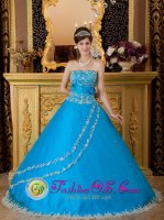Ibach Switzerland Teal Strapless Neckline Tulle Embroidery Decorate A-line Quinceanera Dress