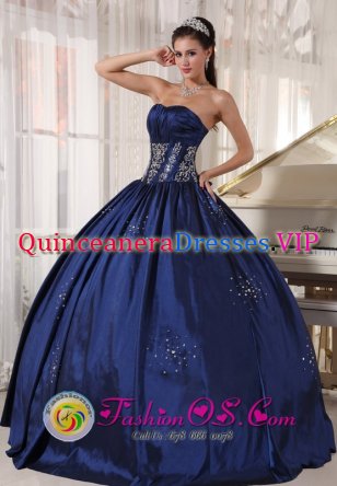 Strapless Embroidery and Beading Modest Navy blue Quinceanera Dress floor length Taffeta Ball Gown in Bodensee