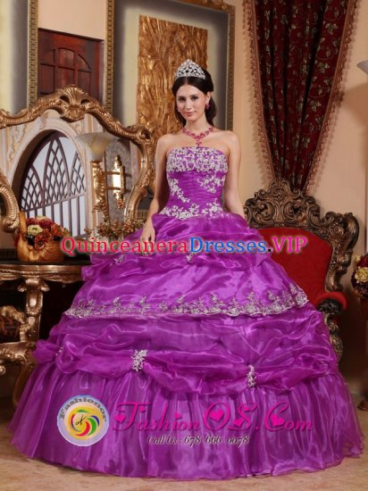Fashionable Fuchsia Quinceanera Dress For Chester Connecticut/CT Strapless Organza With Appliques And Ruffles Ball Gown - Click Image to Close