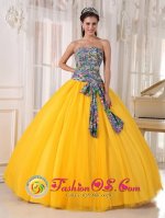 West Warwick Rhode Island/RI Pretty Golden Yellow and Printing Quinceanera Dress For Strapless Bowknot Decorate Tulle Ball Gown