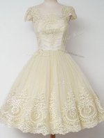 Tulle Square Cap Sleeves Zipper Lace Quinceanera Dama Dress in Light Yellow