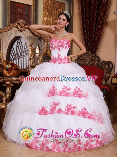 Zirndorf Germany Appliques Organza Wholesale Sweet Quinceanera Dress - Click Image to Close