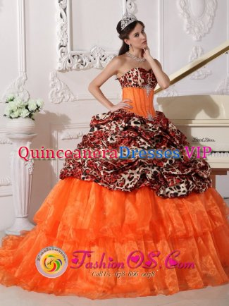 Sizewell Surrey Sweetheart Neckline With Brush Leopard and Organza Appliques Decorate Quinceanera Dress In Phoenix
