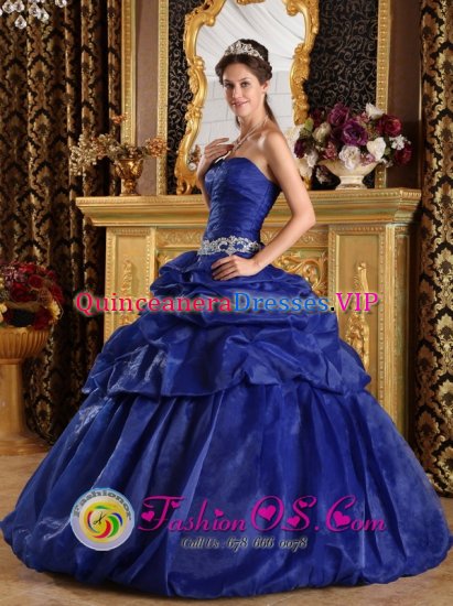 Vernon France Strapless Ruched Bodice Sweet 16 Dress With Appliques and Pick-ups In South Carolina - Click Image to Close
