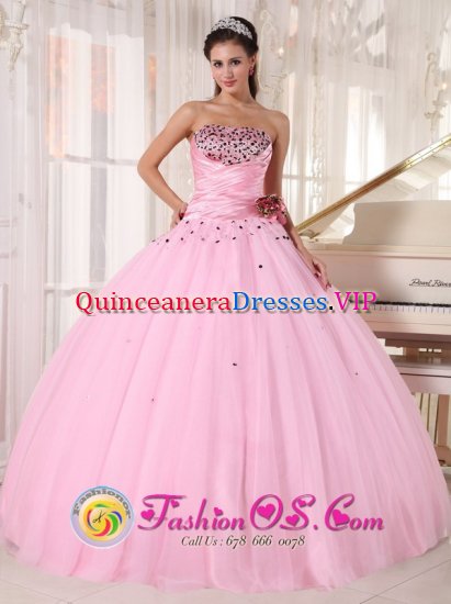Friday Harbor (Washington/WA Lovely Pink Beaded Decorate Bust and Ruched Bodice Sweet 16 Taffeta and Tulle Dress With Hand Made Flowers - Click Image to Close