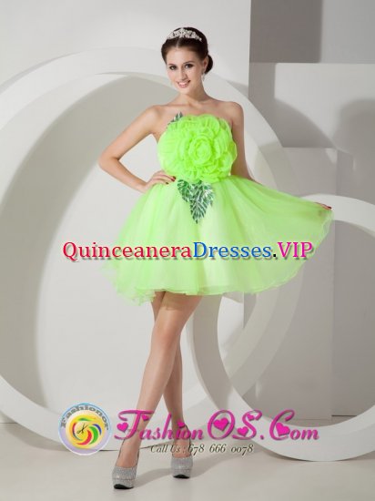Spring Green A-line Strapless Mini-length Organza Hand Made Flowers Quinceanera Dama Dress in South Miami FL - Click Image to Close