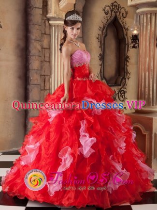 Beaver Pennsylvania/PA Red Ball Gown Strapless Sweetheart Floor-length Organza Quinceanera Dress