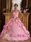 Carrollton Kentucky/KY Beading and Appliques Decorate Bodice Simple Pink Quinceanera Dress Straps Taffeta Ball Gown