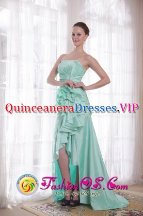Kula Hawaii/HI Apple Green A-line / Princess Strapless High-low Taffeta Hand Made Flower ruching Quinceanera Dama Dress