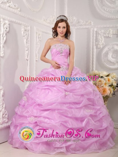 Boothbay Maine/ME Exclusive lavender Quinceanera Dress Strapless Organza Appliques Layered Pick-ups Ball Gown - Click Image to Close