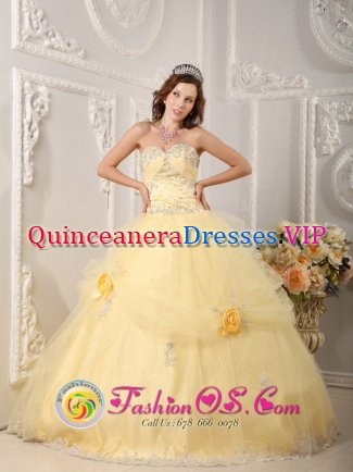 Beaver Creek Colorado/CO Beautiful Organza Light Yellow Sweetheart Quinceanera Dress With Appliques and Hand Made Flowers