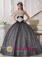 Tiffany & Co Holsworthy Devon Paillette Over Skirt New Style For Sweetheart Quinceanera Dress Beaded Decorate Bust Ball Gown[QDZY231y-8BIZ]