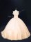 Classical Peach Zipper Off The Shoulder Beading Quinceanera Gown Tulle Sleeveless Court Train