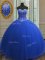 Amazing Royal Blue Lace Up Sweetheart Beading and Sequins 15 Quinceanera Dress Tulle Sleeveless