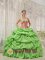 Newport Kentucky/KY Special Spring Green Sweetheart Neckline Quinceanera Dress With Beadings and Pick-ups Decorate