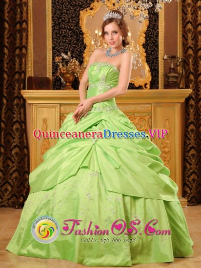 Beaded Decorate Unique Spring Green A-line Quinceanera Dress In Jarrettsville Maryland/MD - Click Image to Close