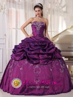 Wahoo Nebraska/NE Beautiful Strapless Embroidery Quinceanera Dress For Eggplant Purple Floor-length Ball Gown with Pick ups