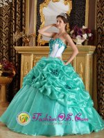 Sweetheart Discount Turquoise Quinceanera Dress In Gilbert AZ Quinceanera Party With Hand Made Flower(SKU QDZY236y-4BIZ)