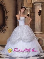 Hillsborough New Jersey/ NJ Stunning Sequin Strapless With the Super Hot White Quinceanera Dress