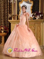 Biarritz France Fabulous One Shoulder Hand Made Flowers Sweet 16 Dress With Appliques and Pick-ups In South Carolina(SKU QDZY179y-7BIZ)