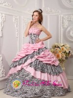 Cordova Alaska/AK Romantic Pink Quinceanera Dress Taffeta and Zebra For Sweet 16 With Pick-ups Beading Ball Gown(SKU QDZY017-GBIZ)