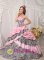 Cordova Alaska/AK Romantic Pink Quinceanera Dress Taffeta and Zebra For Sweet 16 With Pick-ups Beading Ball Gown