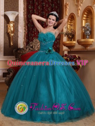 Northridge California/CA Sweetheart In Soecial Design Hand Made Flowers Teal Unique Quinceanera Dress