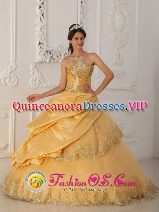 Rochester Minnesota/MN Gorgeous Gold Quinceanera Dress In New York Lace Strapless Floor-length Taffeta and Tulle Ball Gown