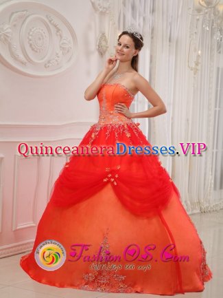 Trappes France Appliques A-line Affordable Orange Red For Sweet Quinceanera Dress Taffeta and Tulle