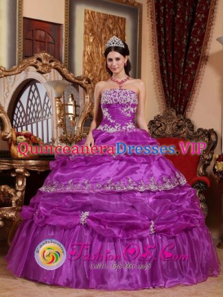 Kingsland TX Fashionable Fuchsia Christmas Party dress For Strapless Organza With Appliques And Ruffles Ball Gown