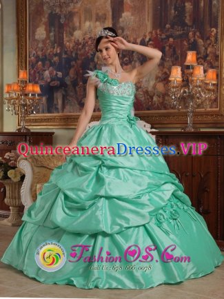 Holland Michigan/MI Apple Green One Shoulder Pick-ups Elegant Quinceanera Dress With Hand Flowers Taffeta