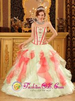 Tiffany & Co Riverton Wyoming/WY Perfect Multi-Color Quinceanera Dress With Sweetheart Neckline Organza Floor Length Ball Gown[QDZY029-BBIZ]