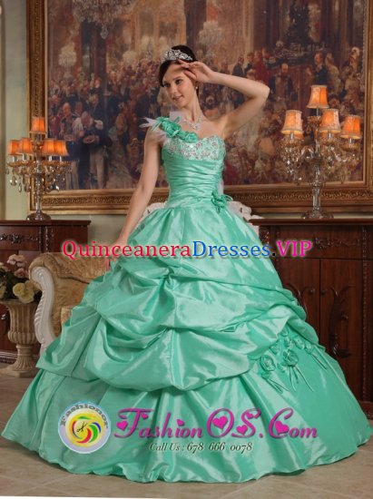 Abilene TX Apple Green One Shoulder Pick-ups Elegant Christmas Party Dress With Hand Flowers Taffeta - Click Image to Close