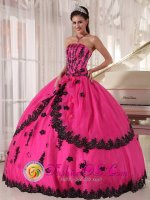 Perfect Organza and Taffeta Appliques Decorate Bodice Hot Pink Quinceanera Dress For Solingen Strapless Ball Gown