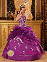 Formal Fuchsia Quinceanera Dress For Strapless Organza With Beaded Lace Appliques Ball Gown In Ajo AZ　