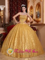 Tiffany & Co Elizabethtown Kentucky/KY Gold Ball Gown and Appliques Decorate Bodice For Quinceanera Dress Special Fabric[QDZY045 y-3BIZ]
