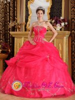 Tiffany & Co Alpharetta Georgia/GA Fabulous Sweet 16 Quinceanera Dress Clearance With Coral Red Strapless Appliques And Pick-ups Decorate[QDZY192-ABIZ]