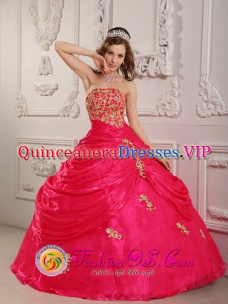 Hot Pink Appliques Decorate Strapless Layered Ruching Quinceanera Dress in Mill Valley CA