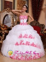 Zirndorf Germany Appliques Organza Wholesale Sweet Quinceanera Dress