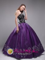 Embroidery Sweetheart Orangza Stylish Eggplant Purple Quinceanera Dresses In La Plata Argentina