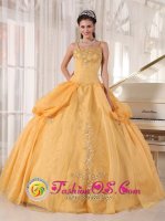 Gorgeous Gold Appliques Spaghetti Straps Montville New Jersey/ NJ Quinceanera Dress With Taffeta and Organza Ball Gown