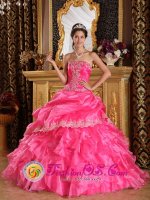 Winner South Dakota/SD Appliques Hot Pink For Beautiful Quinceanera Dress With Strapless Organza Lace Decorate