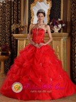 Lame Deer Montana/MT Red Pick-ups and Appliques Strapless Quinceanera Dress With Tulle Skirt For Sweet 16(SKU QDZY139-BBIZ)