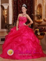 Quinceanea Dresses Stylish Hot Pink Beaded Decorate Organza Sweet 16 Dresses Wear in La Canada CA(SKU QDZY659y-2BIZ)