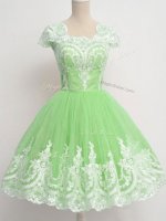 Square Zipper Lace Dama Dress for Quinceanera Cap Sleeves(SKU SWBD156-4BIZ)