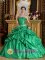 Spring Green With Pick-ups Appliques Decorate Waist For Romantic Strapless Quinceanera Dress IN Bonham Texas/TX