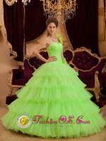 Stuuning Spring Green One Shoulder Ruffles Layered Quinceanera Cake Dress With A-line Princess In Illinois(SKU QDZY117y-2BIZ)