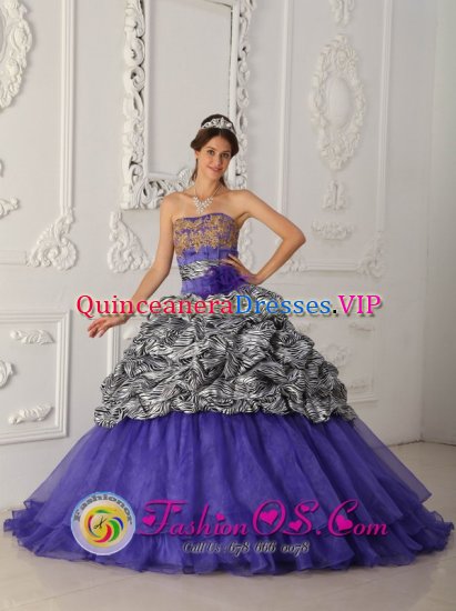 Springdale Arkansas/AR Brand New Custom Made Zebra and Organza Purple Quinceanera Dress For Strapless Chapel Train Ball Gown - Click Image to Close