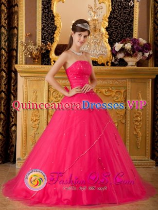 A-line Quinceanera Dress With Appliques Strapless Custom Made In Hico West virginia/WV