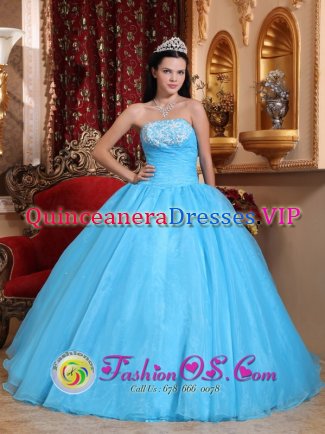 Stoneygate East Midlands Romantic Exquisite Appliques A-line Strapless Baby Blue Quinceanera Dress
